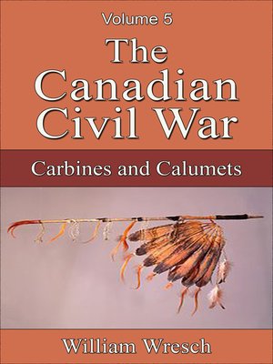 cover image of The Canadian Civil War